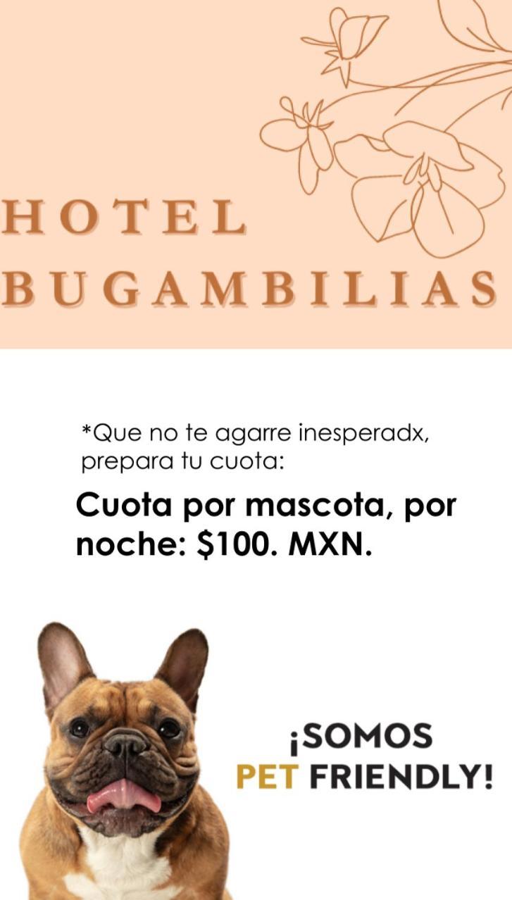 Hotel Bugambilias Oaxaca Екстер'єр фото